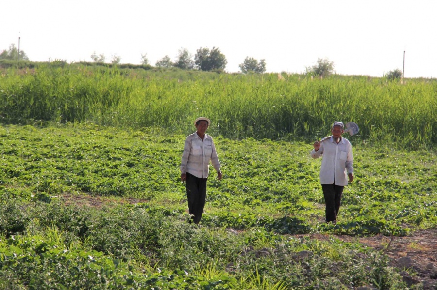 photo5233332988236900536.jpg photo5233332988236900536.jpg