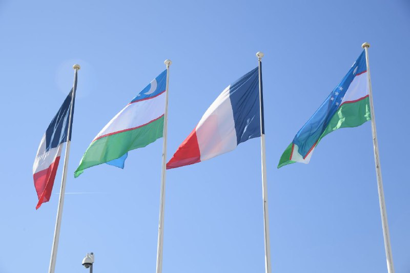 3bf24746-be81-4840-b961-ecf594576cb0.jpg 3bf24746-be81-4840-b961-ecf594576cb0.jpg