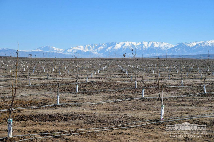 photo5229094521235679786.jpg photo5229094521235679786.jpg