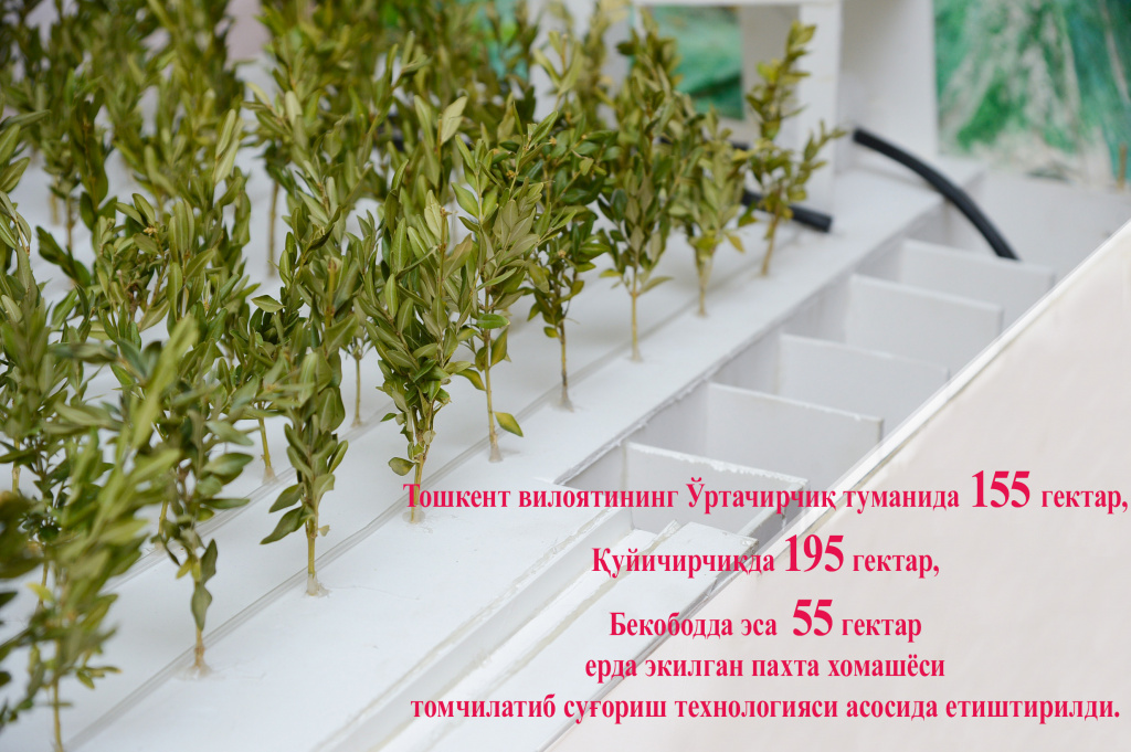 13_томчилатиб_суғориш_технологиялари.jpg 13_томчилатиб_суғориш_технологиялари.jpg